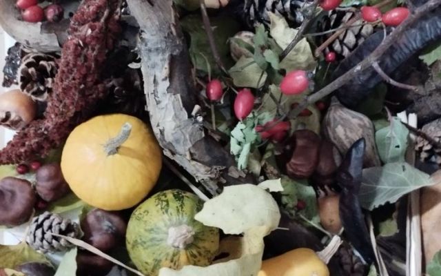 Есен в ПГХТ "Акад. Неделчо Неделчев"! [22.11.2023]