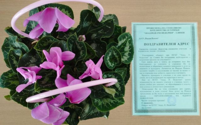 ,,Различният час по литература“ [08.11.2024]