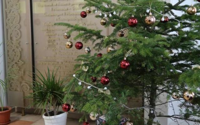 На 06.12.2024 г., Никулден, в Професионална гимназия по хотелиерство и туризъм „Академик Неделчо Неделчев“-Сливен грейнаха коледните светлини! [07.12.2024]