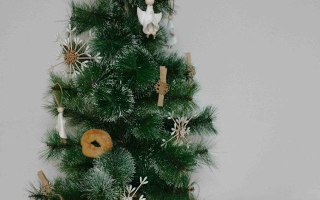 На 06.12.2024 г., Никулден, в Професионална гимназия по хотелиерство и туризъм „Академик Неделчо Неделчев“-Сливен грейнаха коледните светлини!